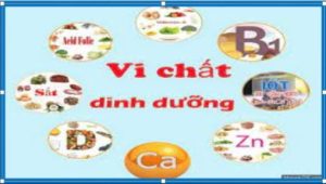 THƯ MỜI BÁO GIÁ Gói thầu: “Mua vi chất dinh dưỡng cho trẻ suy dinh dưỡng thuộc đối tượng chương trình Mục tiêu quốc gia giảm nghèo năm 2024”