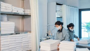 Thông báo tuyển dụng hợp đồng lao động – 2024